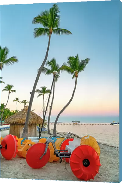 Florida, The Keys, Islamorada, beach with palm trees and water tricycles
