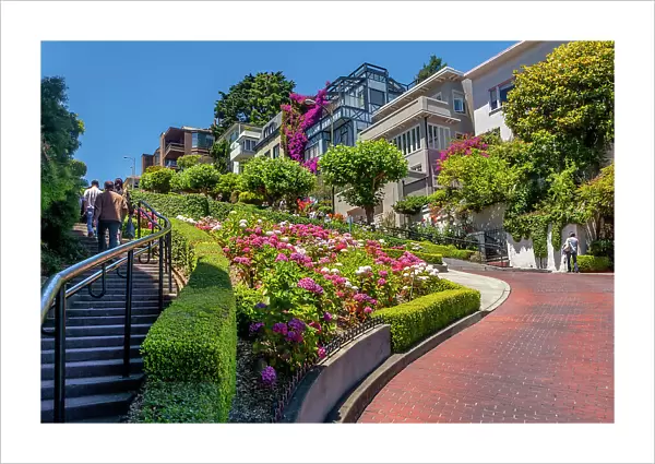 California, San Francisco, famous Lombard Street