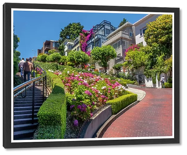 California, San Francisco, famous Lombard Street
