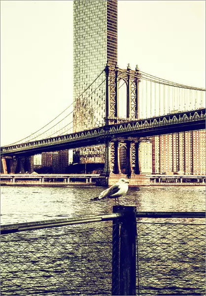NY, NYC, Manhattan, One Manhattan Square and Manhattan Bridge