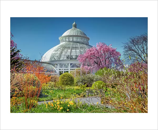 New York, Bronx, NY Botanical Garden, Enid A. Haupt Conservatory