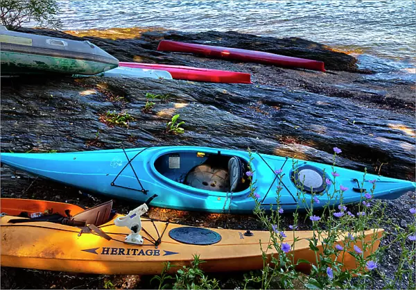 Rhode Island, Newport, kayaks on grass