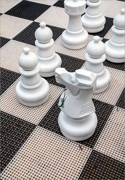 Bermuda, Rosewood Bermuda Hotel, Palm Court, Large chess game