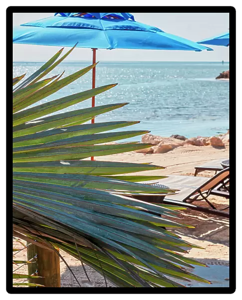 Florida, The Keys, Key Largo, beachfront lounge chair
