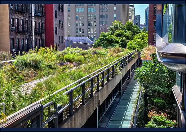 New York City, Manhattan, High Line Elevated Park