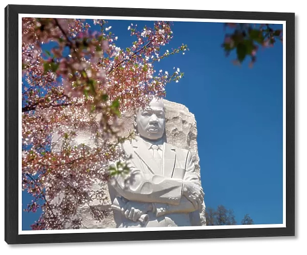 Washington, D.C. Martin Luther King Jr. Memorial During Springtime