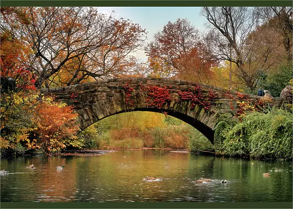 NY, NYC, Central Park, Gapstow Bridge, and Pond