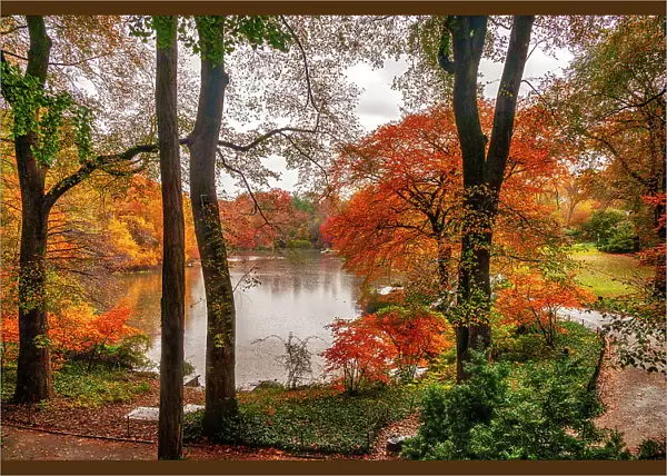 NY, NYC, Central Park, view of colorful foliage and Pond