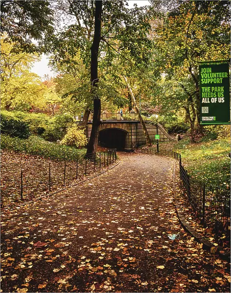 NY, NYC, Central Park, Path leading to Dipway Arch