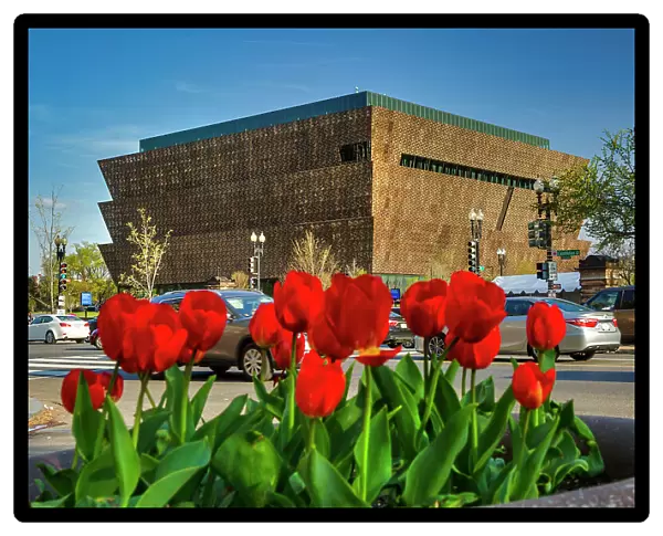 Washington, D.C. National Museum of African American History and Culture