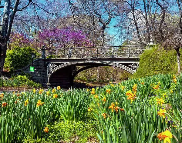 New York City, Manhattan, Springtime Scene at Central Park