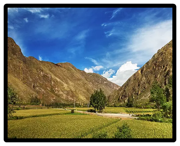 Peru, Sacred Valley, Scene of Crop Fields