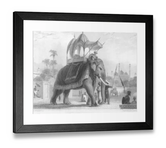 Framed Print : Caparis oned Elephant Print Framed Print : Caparis oned Elephant Print