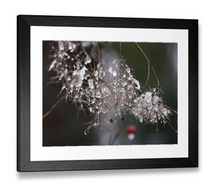 Framed Print : Wintertime, Thaw, Germany Print Framed Print : Wintertime, Thaw, Germany Print