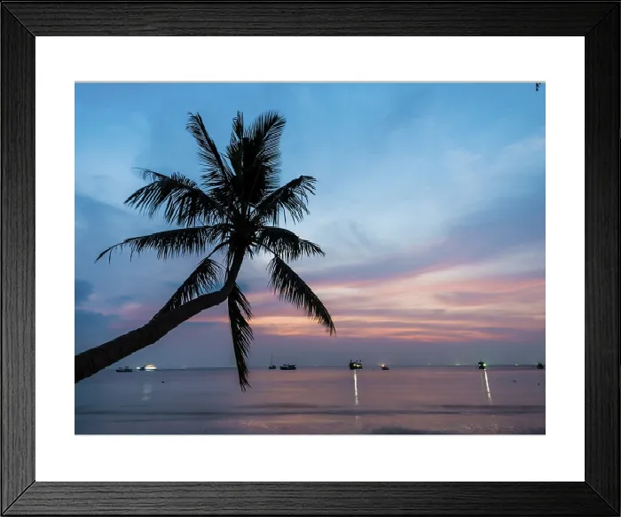Framed Print : Palm Tree at Sunset Print, Koh Tao, Thailand Framed Print : Palm Tree at Sunset Print, Koh Tao, Thailand