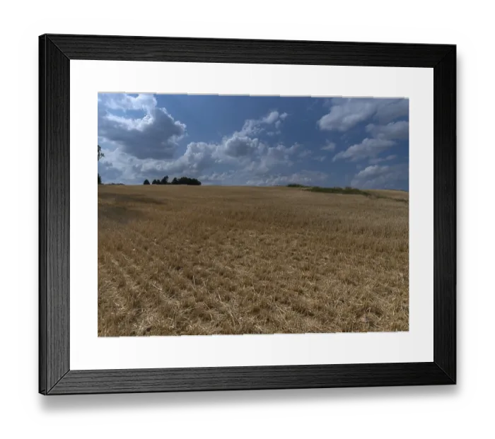 Framed Print : Harvested Barley Field Print, Lower Franconia, Germany Framed Print : Harvested Barley Field Print, Lower Franconia, Germany