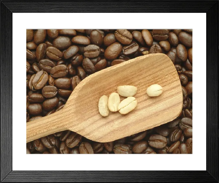 Show Product Preview