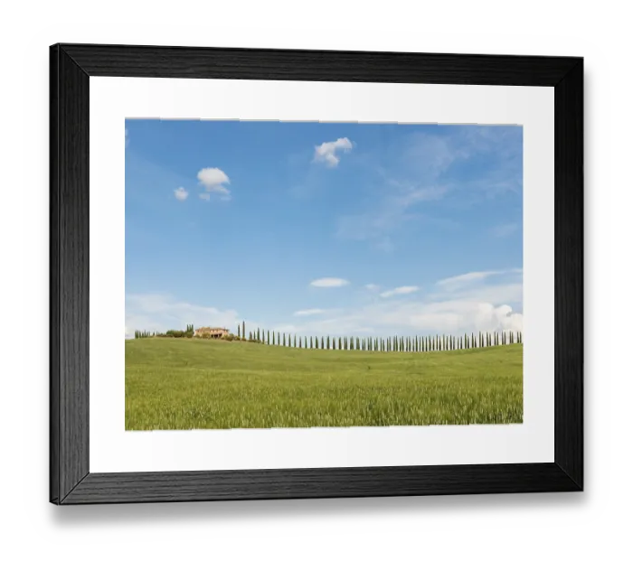 Framed Print : Country Estate Poggio Covili Cypress Tree Print, Tuscany, Italy Framed Print : Country Estate Poggio Covili Cypress Tree Print, Tuscany, Italy