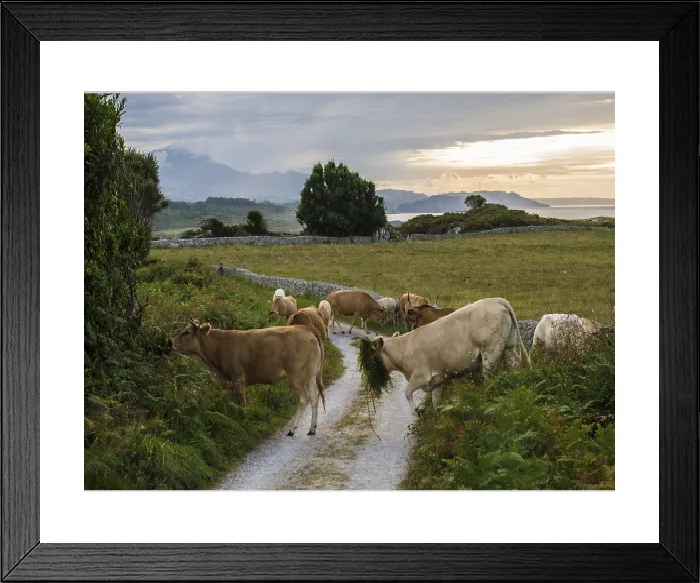 Framed Print : Coastal Landscape Print, Ribadesella, Asturias, Spain Framed Print : Coastal Landscape Print, Ribadesella, Asturias, Spain