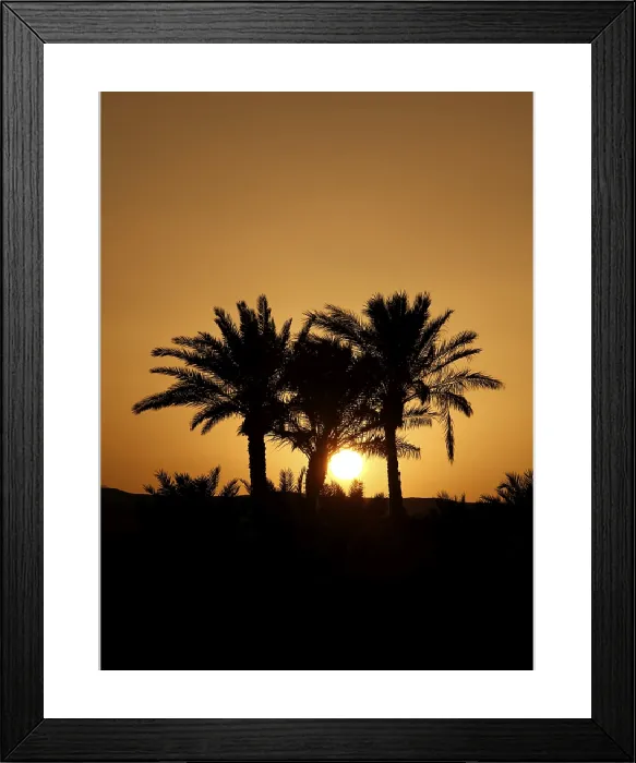 Framed Print : Palms of El Gouna in Sunset Print, Egypt Framed Print : Palms of El Gouna in Sunset Print, Egypt