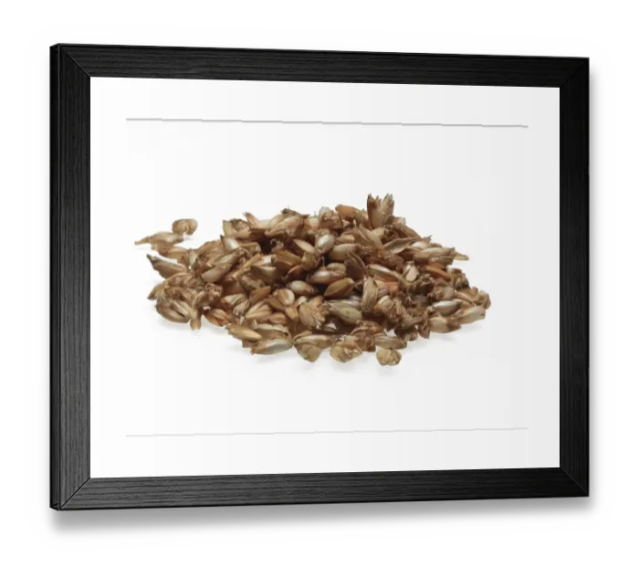 Framed Print : Spelt Husk Pillow Filling Print