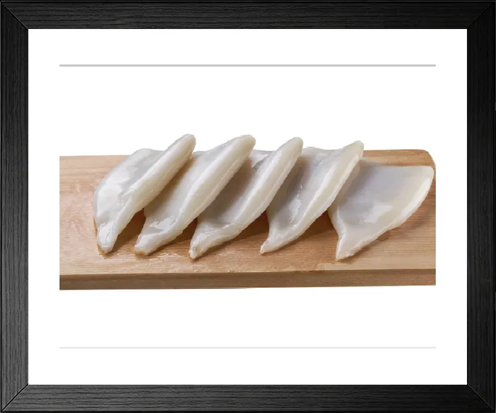 Framed Print : Fresh Raw Squid Print on White Background Framed Print : Fresh Raw Squid Print on White Background