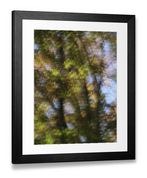Framed Print : Herbstwald, Grafenberger Wald Print, Düsseldorf, Germany Framed Print : Herbstwald, Grafenberger Wald Print, Düsseldorf, Germany