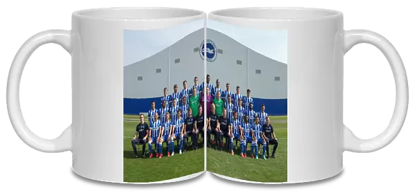 Brighton & Hove Albion 2014-15 Team Photo