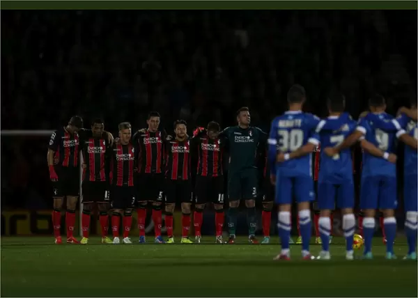 Minutes of Silence: Brighton and Hove Albion at Bournemouth's American Express Community Stadium, SkyBet Championship, 1st November 2014