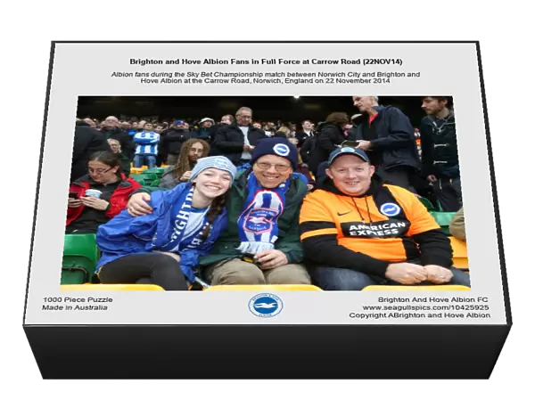 Brighton and Hove Albion Fans in Full Force at Carrow Road (22NOV14)