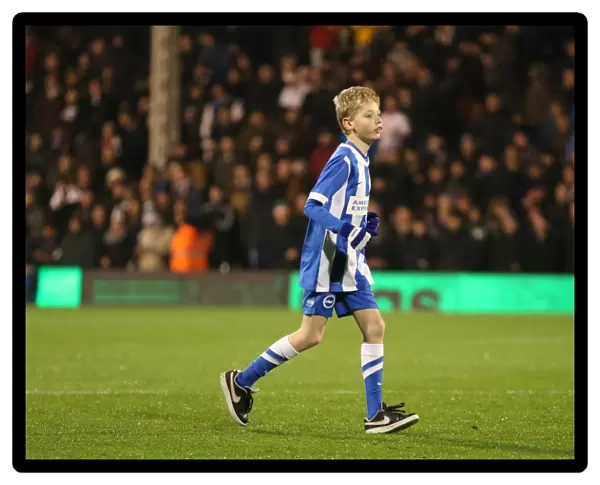 Brighton & Hove Albion Mascot at Fulham's Craven Cottage during Sky Bet Championship Match (December 2014)