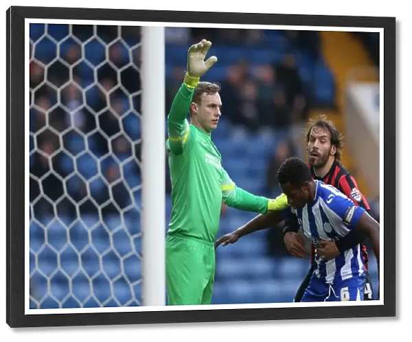 David Stockdale in Action: Sheffield Wednesday vs. Brighton and Hove Albion, Sky Bet Championship 2015