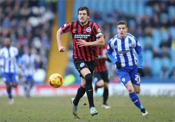 Gordon Greer Leads Brighton and Hove Albion in Championship Showdown against Sheffield Wednesday (14FEB15)