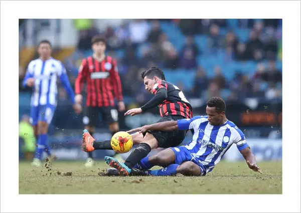 Brighton's Sam Baldock Scores Against Sheffield Wednesday in Championship Clash, 14 February 2015