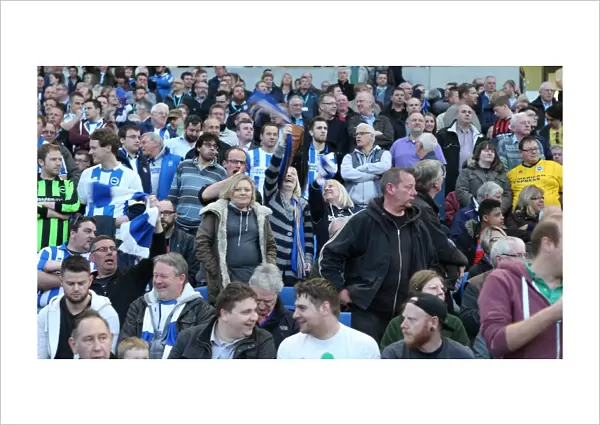 Brighton and Hove Albion Fans in Full Force: A Sea of Colors Against Huddersfield Town (14APR15)