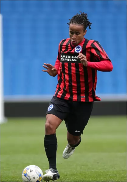 Play on the Pitch: Brighton & Hove Albion at American Express Community Stadium (April 29, 2015)