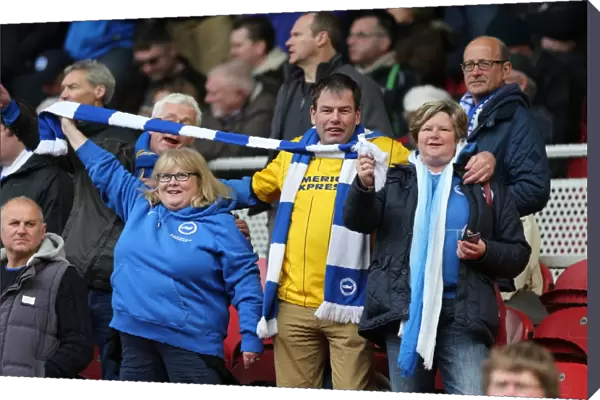 Unwavering Albion: Brighton and Hove Fans Passionate Support at Middlesbrough Championship Match (May 2015)