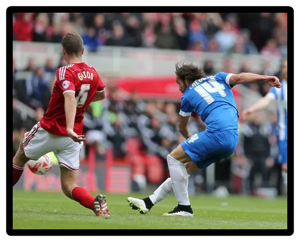 Inigo Calderon in Action: Middlesbrough vs. Brighton & Hove Albion, Sky Bet Championship, May 2015