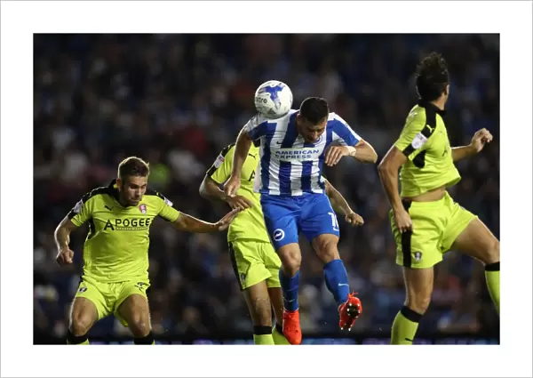 Brighton and Hove Albion vs Rotherham United: EFL Sky Bet Championship Clash at American Express Community Stadium (16th August 2016)
