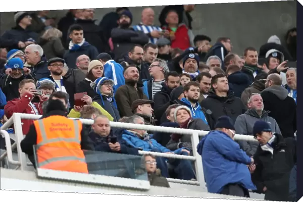Decisive Moments at St. James Park: Newcastle United vs. Brighton and Hove Albion (30DEC17)