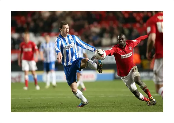 Brighton & Hove Albion 2012-13 Away: Charlton Athletic - Highlights