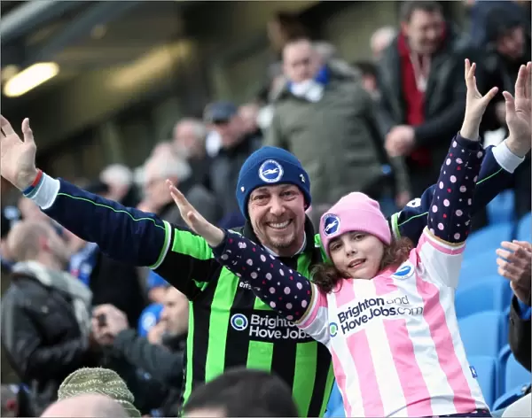 Brighton & Hove Albion vs. Crystal Palace (2012-13 Season) - A Nostalgic Look Back at the March 17th Home Game