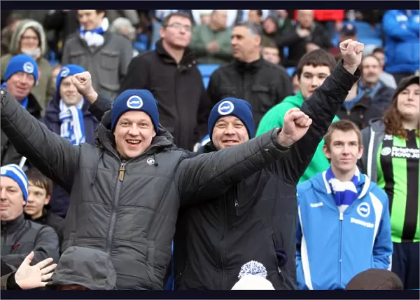 Brighton & Hove Albion vs. Crystal Palace: A Home Battle (March 17, 2013 - Season 2012-13)