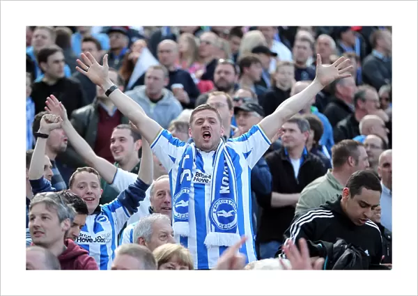 Brighton & Hove Albion FC: Electric Atmosphere - Unforgettable Crowd Moments (2012-2013)