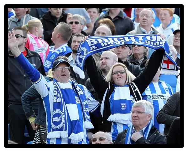 Brighton & Hove Albion FC: Electric Atmosphere at The Amex (2012-2013) - Crowd Shots