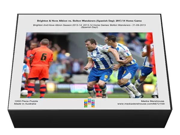 Brighton & Hove Albion vs. Bolton Wanderers (Spanish Day): 2013-14 Home Game