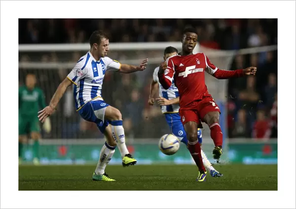 Brighton & Hove Albion vs. Nottingham Forest (2013-14 Season): A Home Game