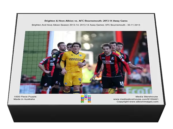Brighton & Hove Albion vs. AFC Bournemouth: 2013-14 Away Game