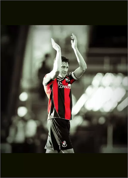 AFC Bournemouth at Brighton & Hove Albion: 2013-14 Season Away Game