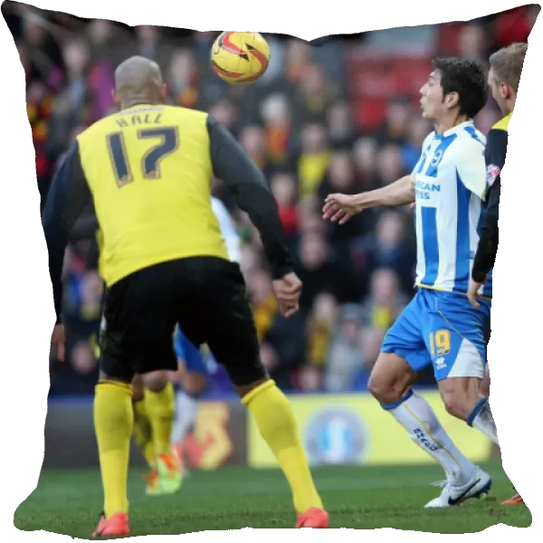 Brighton & Hove Albion vs. Watford FC - 02-02-2014: Away Game in the 2013-14 Season